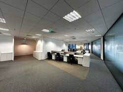 PLUS (D1), Office #543093781